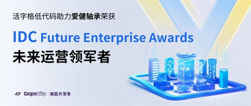 2023年葡萄城低代碼沙龍回顧 技術(shù)服務(wù)與技術(shù)開(kāi)發(fā)的融合之路
